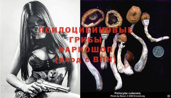 apvp Белоозёрский