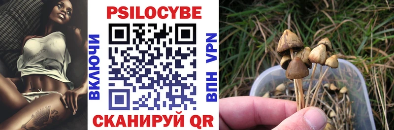 как найти закладки  Тулун  shop формула  Галлюциногенные грибы MAGIC MUSHROOMS 